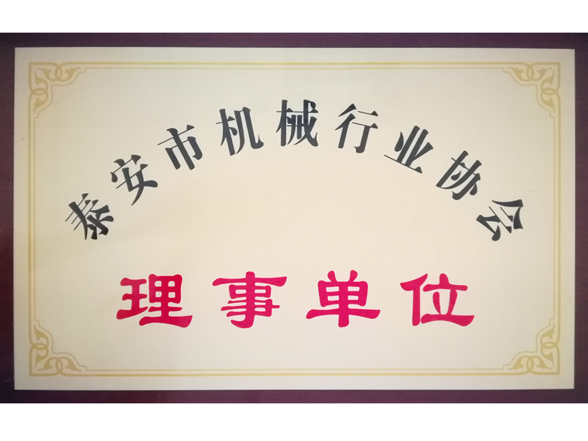 泰安市機械行業(yè)協會理事單位